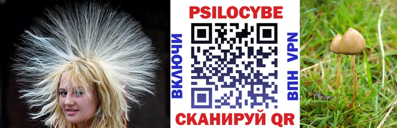Галлюциногенные грибы ЛСД  купить  цена  Щигры 